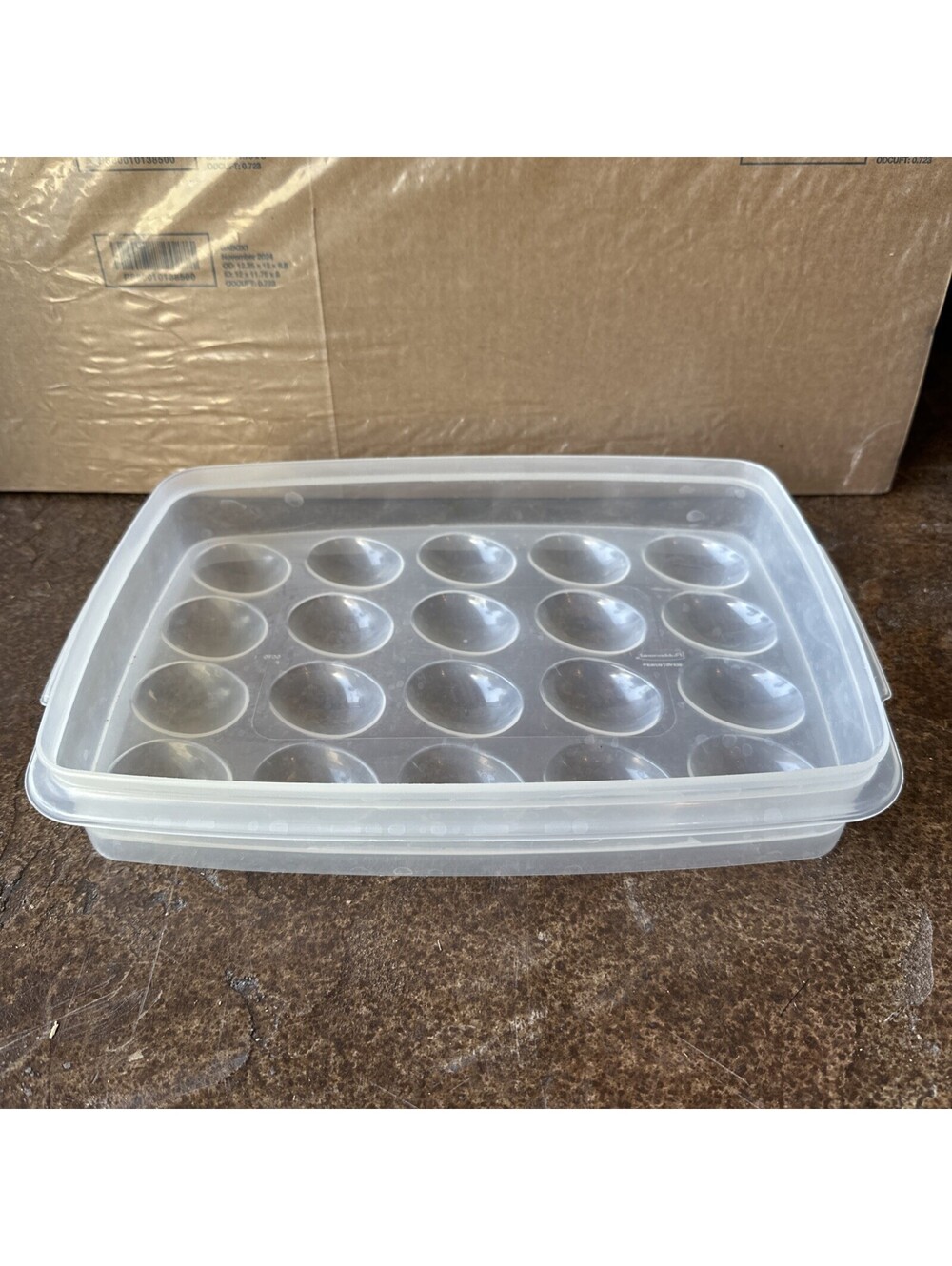 Vtg Rubbermaid Servin' Saver 20 Deviled Egg Keeper Container No Lid